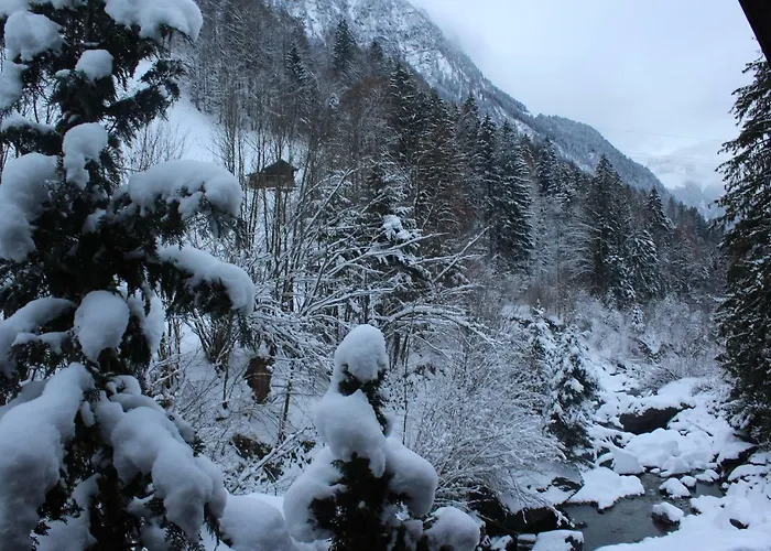 Burglauenen Appartamento