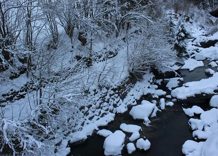 Burglauenen * Grindelwald