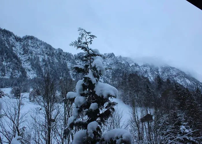 Lejlighed Burglauenen *